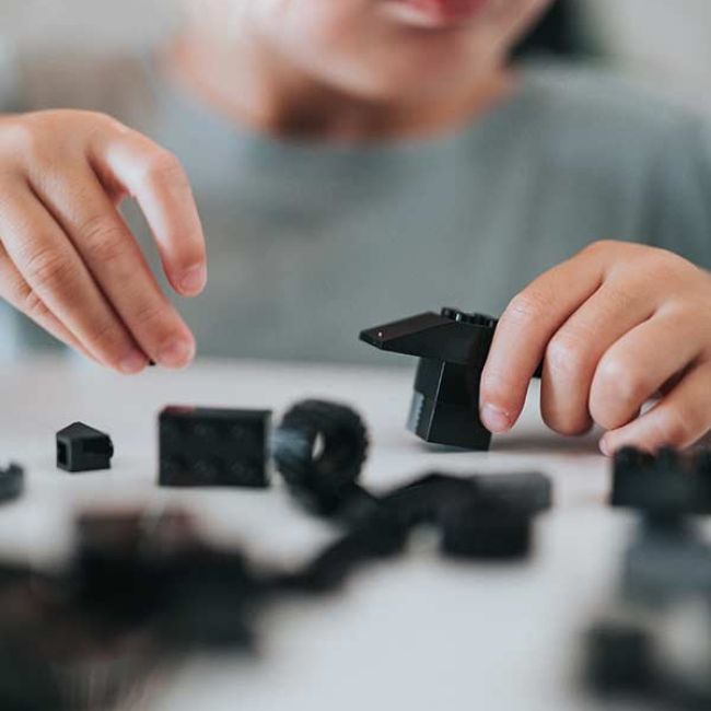 Conoce nuestros servicios y procedimiento